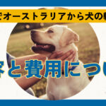 副業でオーストラリアから犬の輸入?内容と費用について