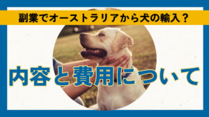 副業でオーストラリアから犬の輸入?内容と費用について